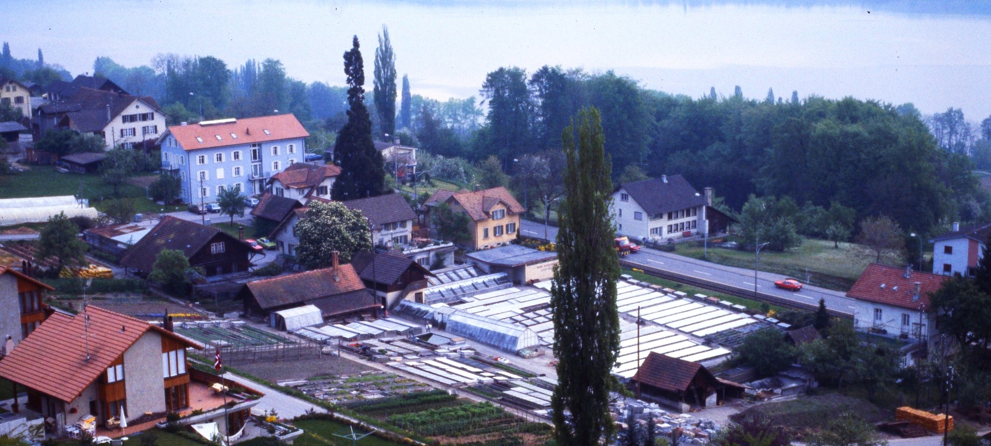 Gartnerei Eichenberger_01xx.jpg